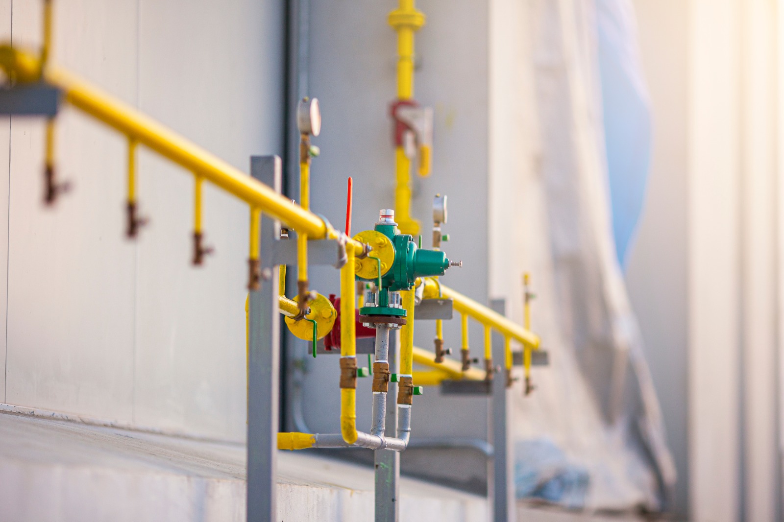 Contributing to a better life